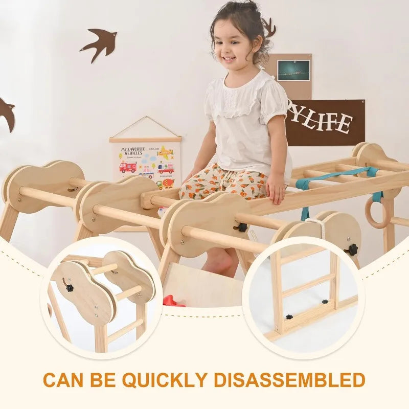 Indoor Playground Jungle Gym